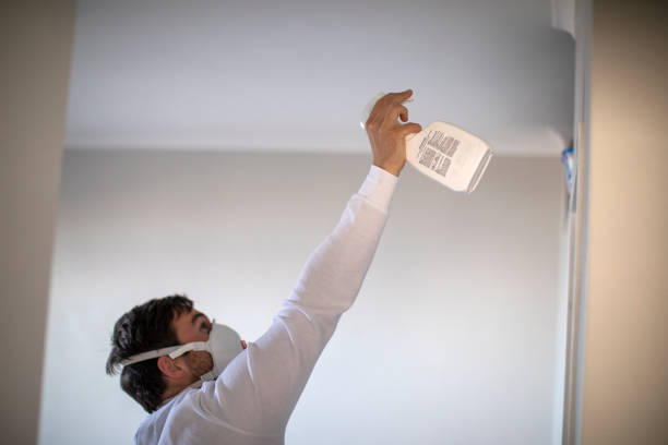 Best Basement Mold Remediation in Grand Bay, AL